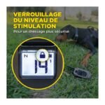 Collier De Dressage Dogtra 1200X Kit 1 Chien – Image 6
