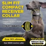 Collier De Dressage Dogtra Arc-X Kit 2 Chiens – Image 10