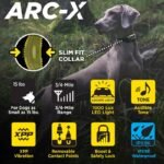 Collier De Dressage Dogtra Arc-X Kit 2 Chiens – Image 12