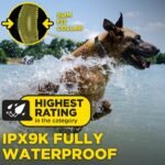 Collier De Dressage Dogtra Arc-X Kit 2 Chiens – Image 5