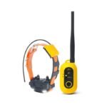 Pack Ensemble Complet Dogtra Pathfinder 2 Mini