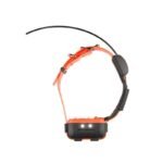 Pack Numaxes Télécommande + Collier De Repérage Canicom Gps 2 – Image 5